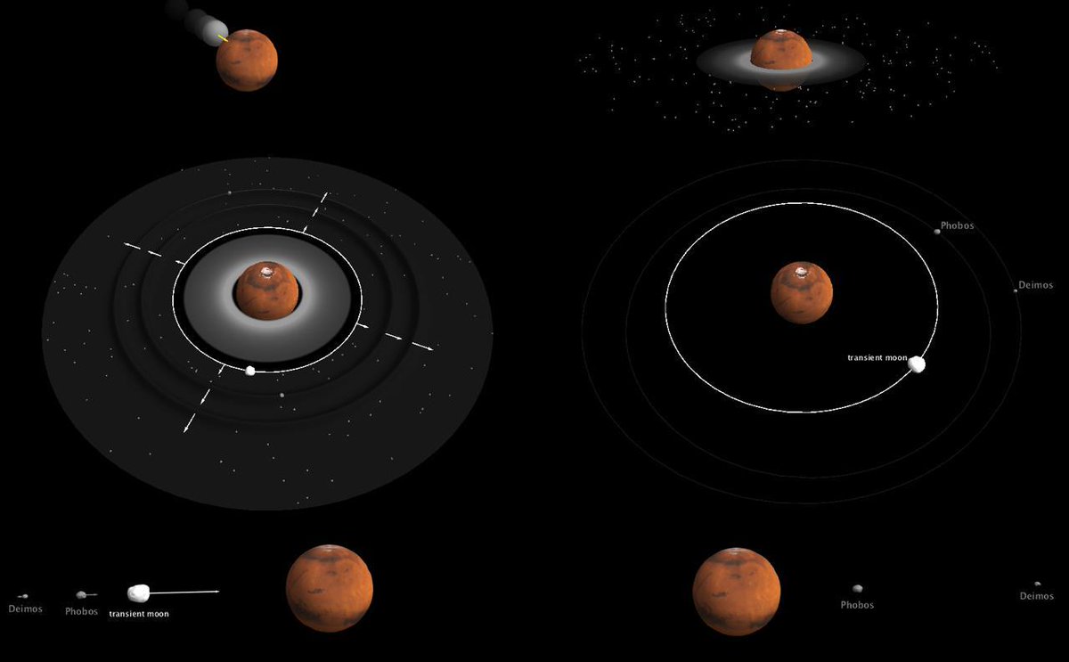 © Antony Trinh / Observatoire Royal de Belgique Chronologie des événements qui auraient donné naissance à Phobos et Deimos. Mars est percutée par une protoplanète trois fois plus petite (1). Un disque de débris se forme en quelques heures. Les briques élémentaires de Phobos et Deimos (grains de taille inférieure au micromètre) se condensent directement à partir du gaz dans la partie externe du disque (2). Le disque de débris produit rapidement une lune proche de Mars, qui s'éloigne et propage ses deux zones d'influence comme des vagues (3), ce qui provoque en quelques millénaires l'accrétion des débris plus éloignés en deux petites lunes, Phobos et Deimos (4). Sous l'effet des marées soulevées par Mars, la grosse lune retombe sur la planète en quelques millions d'années (5), tandis que Phobos et Deimos, moins massifs, rejoignent leur position actuelle dans les milliards d'années qui suivent (6).
