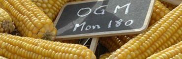 110 prix Nobel défendent les OGM