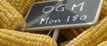 110 prix Nobel défendent les OGM