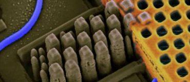 Puces photoniques et bandes magnétiques : vers un stockage éternel