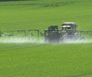 Les pesticides ont leur certificat d'économie !
