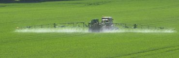 Les pesticides ont leur certificat d'économie !