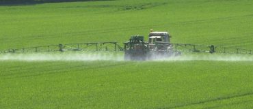 Les pesticides ont leur certificat d'économie !