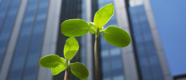 La France s'intéresse aux obligations vertes !
