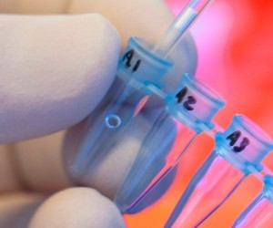 Rendez-vous Carnot 2016