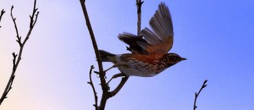 Expérience#10: « Lâcher prise et finitude »
