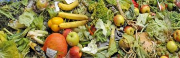 Des déchets alimentaires pour produire du graphite et de l'hydrogène