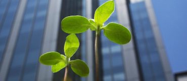 Entreprises : seulement 2% atteignent leurs objectifs RSE !