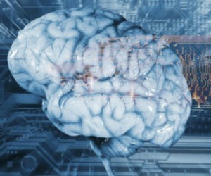 L'Intelligence Artificielle s'impose dans l'entreprise comme chez le particulier