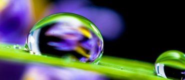 Recréer des surfaces superhydrophobes et antibuée en s’inspirant de la nature