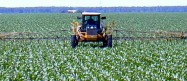 Monsanto connait la toxicité du glyphosate depuis 1999