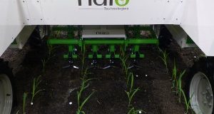 Naïo Technologies robotise le désherbage !