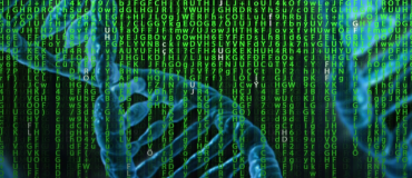 Nous sommes plus que notre ADN : découverte d'un nouveau mécanisme d'hérédité épigénétique