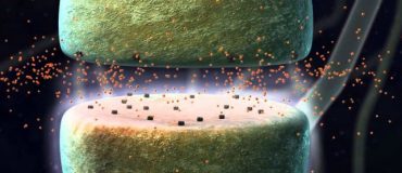 Des synapses électroniques capables d'apprendre : vers un cerveau artificiel ?