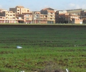 Les terres agricoles disparaissent à nouveau sous le béton !