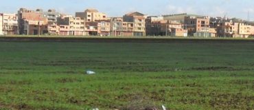 Les terres agricoles disparaissent à nouveau sous le béton !