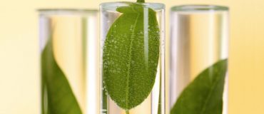 Chimie verte, nouveau secteur d'excellence français ?