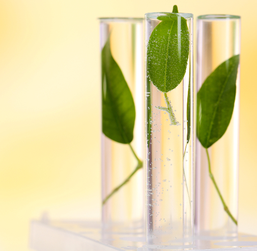 Chimie verte, nouveau secteur d'excellence français ?