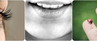 Sécurité informatique : quelles solutions pour remplacer le mot de passe ?