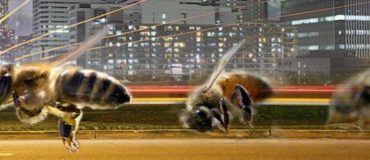 Une flotte de robots autonomes pour la fabrication additive