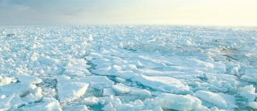 L'Affaire du siècle dépose une requête contre l’État au nom de la justice climatique