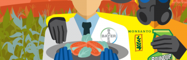 Fusion Bayer-Monsanto: la Commission lance son enquête!