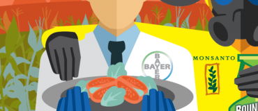 Fusion Bayer-Monsanto: la Commission lance son enquête!