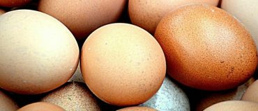 La coquille d'oeuf, symbole de l'économie circulaire !