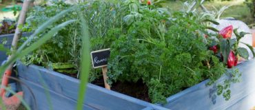 Planter des sacs pour faire pousser son potager !