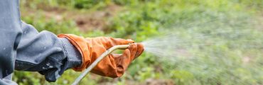 Le principal substitut au glyphosate retiré du marché français !
