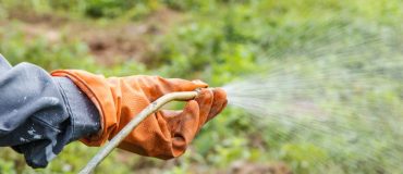 Le principal substitut au glyphosate retiré du marché français !