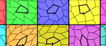 Il n'existe que 15 pavages pentagonaux possibles