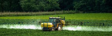 Glyphosate: la Commission persiste vers un renouvellement