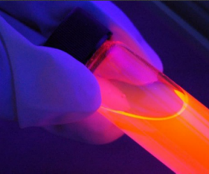 Produits chimiques : le règlement PIC entre dans les mœurs