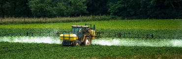 Un nouvel herbicide d’origine naturelle