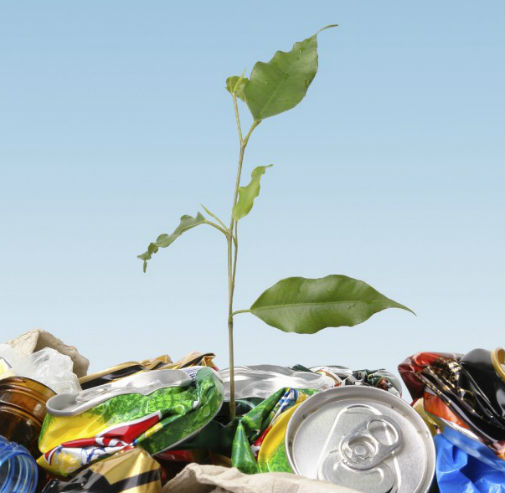 Recyclage : les nouveaux défis