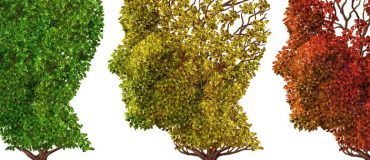 Mémoire : des images vues pendant quelques secondes, reconnues une dizaine d'années plus tard