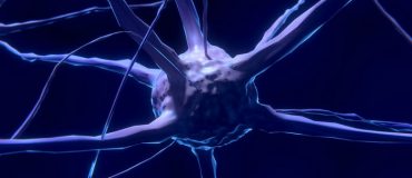 L'informatique aux commandes de la biologie