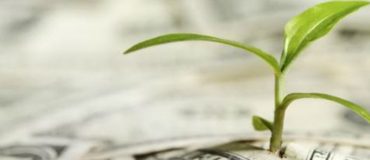 Les obligations vertes peuvent-elles verdir la finance ?