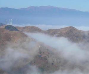 Comment les prix des énergies renouvelables ont-ils pu tomber si bas ?