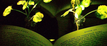 Le récap’ insolite du mois #4