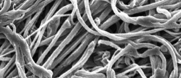 La synthèse des MOFs passe à l’ère industrielle