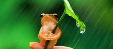 Nouveaux matériaux : du biomimétisme à l’intelligence artificielle