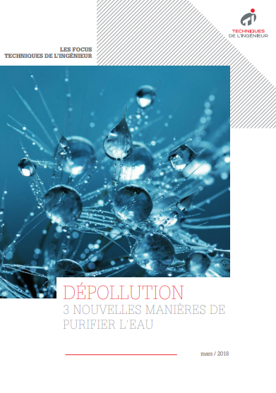 Dépollution : 3 nouvelles manières de purifier l'eau