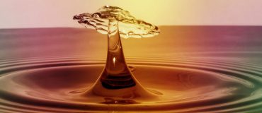 Une idée lumineuse et vitaminée pour dépolluer l’eau