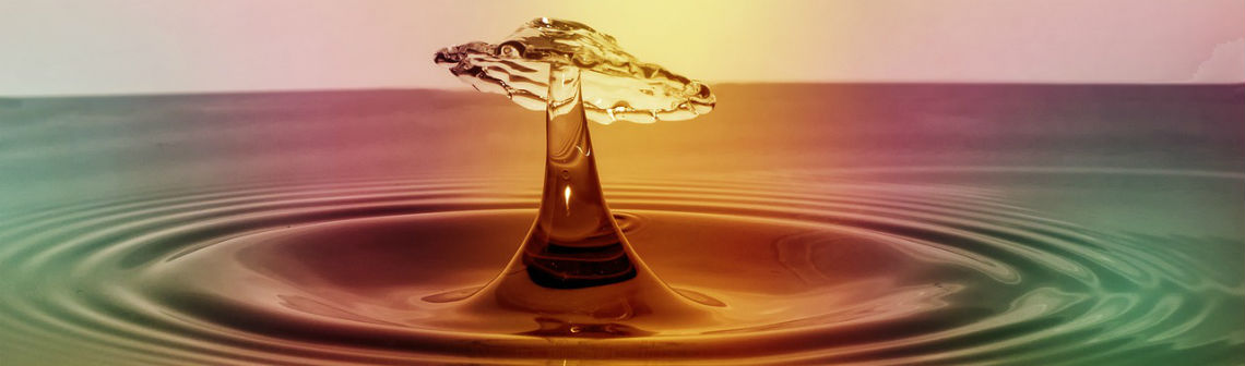 Les entreprises de l'eau face à la gestion de crise (climatique)