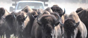 Energy Observer : un bateau à batterie lithium