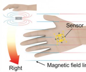 Une peau artificielle dote les mains de capacités magnétiques