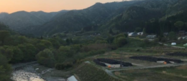 Fukushima : évolution des concentrations de plutonium dans les sols et les rivières