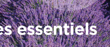 La confiance, nouvel atout des managers